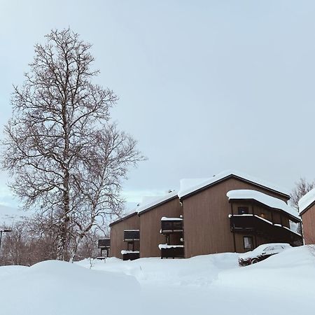 Skaidi Luxury Lodge - Heart Of The Arctic 함메르페스트 외부 사진
